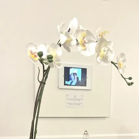 ゲストハウス Interno