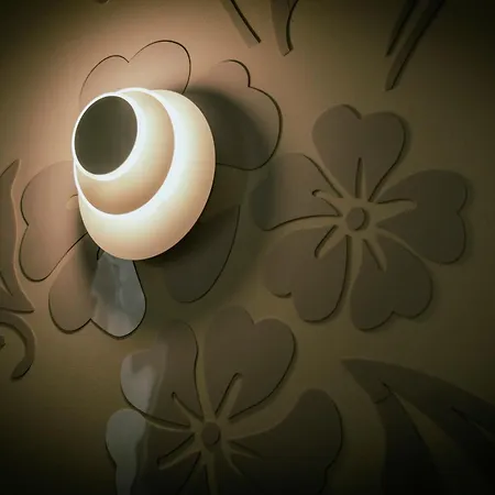 Aurora A.e. Guest house *
