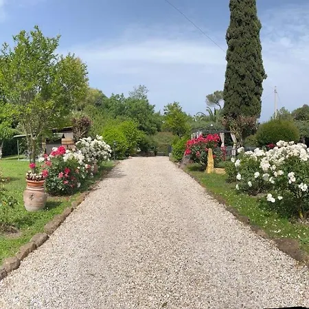 Loft Appia Antica Donna Eugenia Apartment