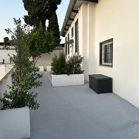 Lemon Apartment