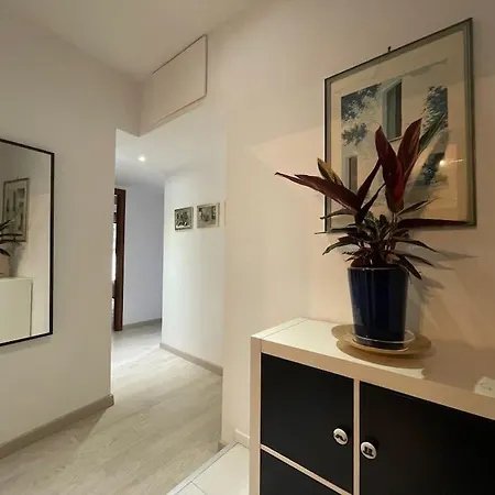 Apartament Spacious And Bright