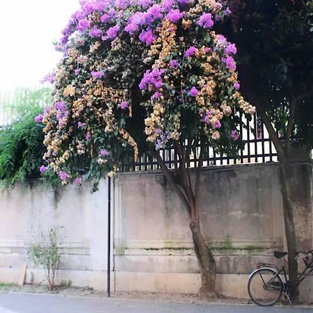 Angelico Deluxe Near Vatican Holiday home *