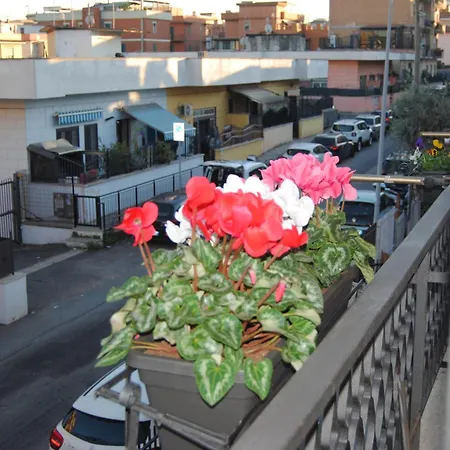 Little Gardens