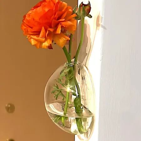 Apartment Domus Metro B1 Rome