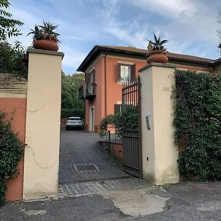 Rosa San Pietro * Roma