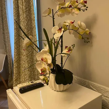 Πανσιόν Domus Prati Ρώμη