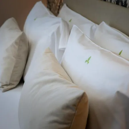 Hotel Caravita