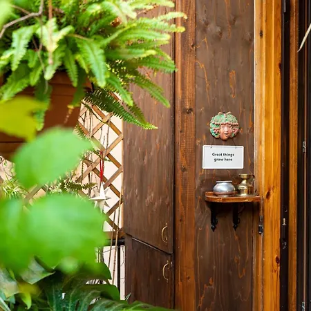 B&B Al Ponte Del Papa 로마