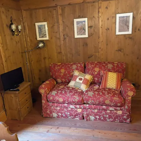 Cozy Nest