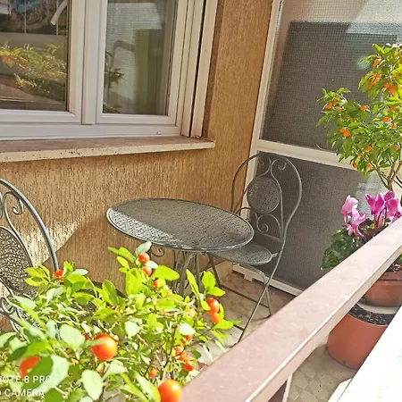 Have A In Apartment Rome