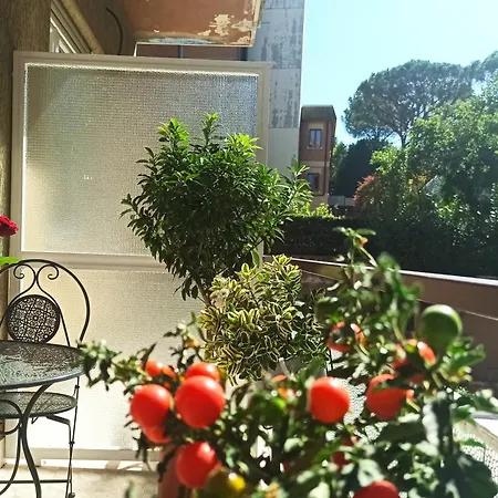 Have A In Rome