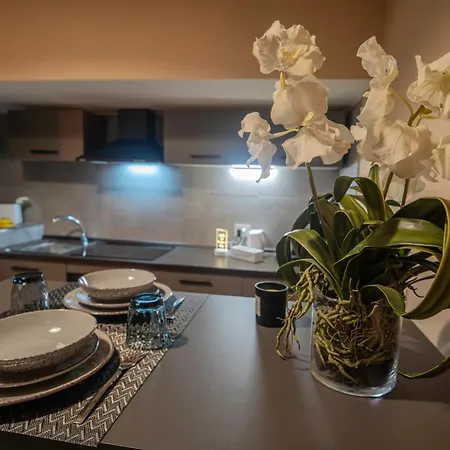 Lemon Apartment