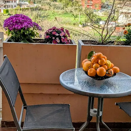 Yana Apartment *