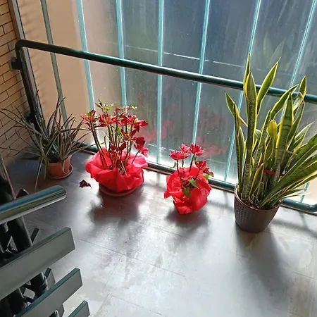 Yana Apartment Rome