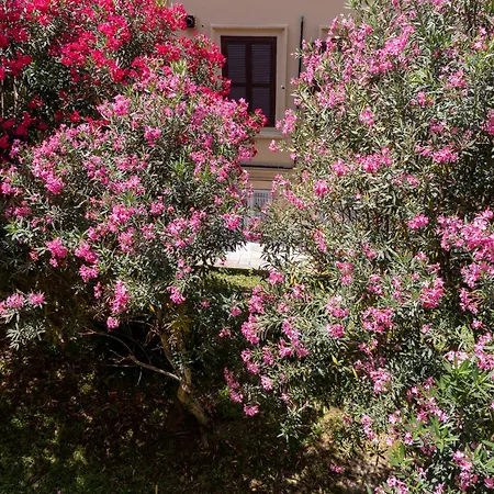 Guest house San Pietro