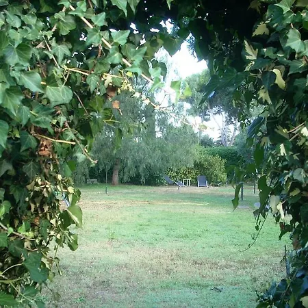 Guest house Grande