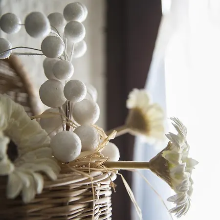 Alma De Roma Bed & Breakfast 2*