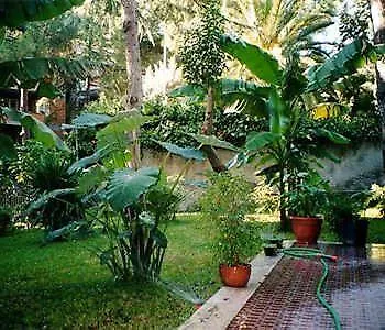 Il Giardino Di Giulia 2 3* Roma