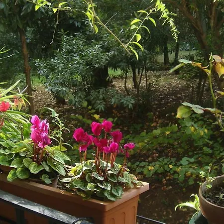 Bed & Breakfast Cagliari House *