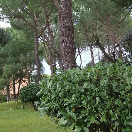 Tellene * Roma