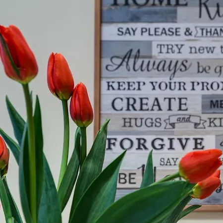 Romefinestay Sistina * Řím