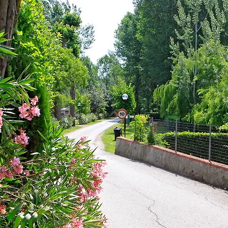 Tiber 2*