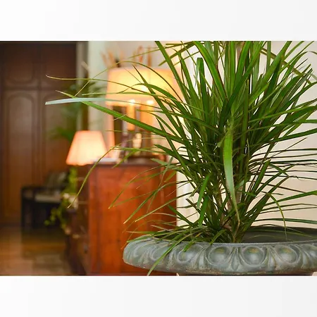 Bed & Breakfast Il Viandante Roma
