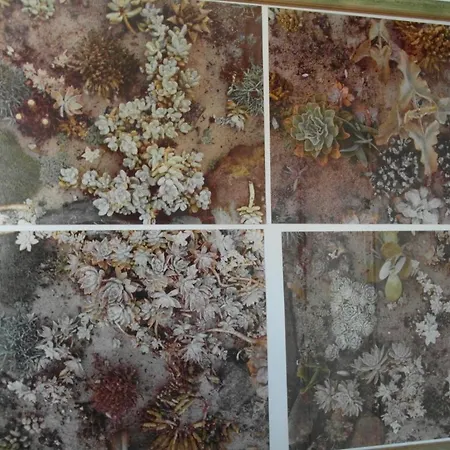 Abitazione Pigneto Řím