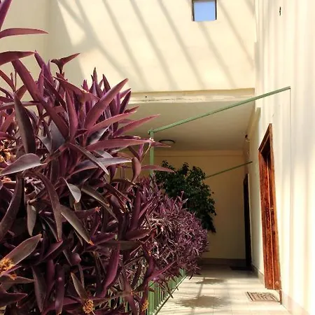 Ancient Romance Guest house 2*