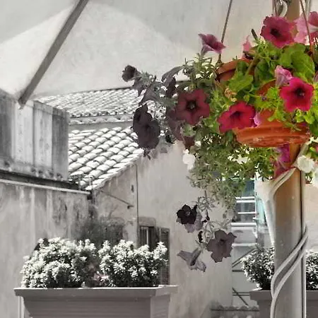Hotel apartamentowy Numa Vici 2*