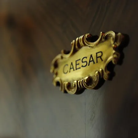 Bed & Breakfast Houspitality Caesar 3*
