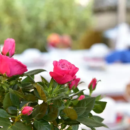 Bed & Breakfast Quodlibet Roma