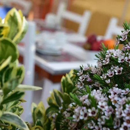 Bed & Breakfast Quodlibet 2*