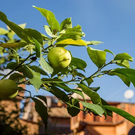 Trastevere *