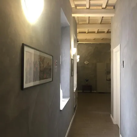 Domizia Floor