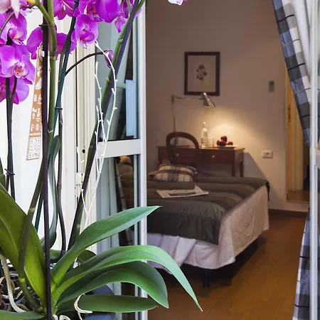 Hotel De Petris 3*