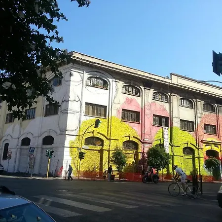 Girasolereale *