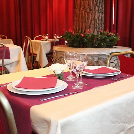 Hotel Romulus Rzym