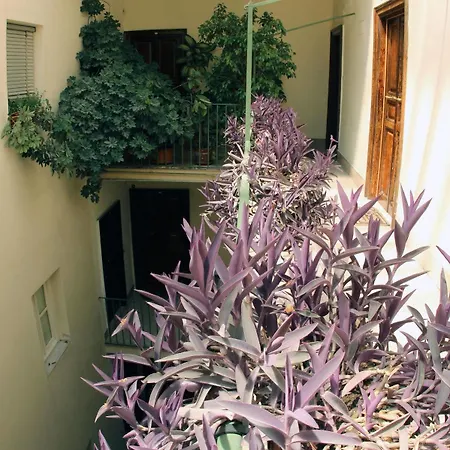Guest house Ancient Romance