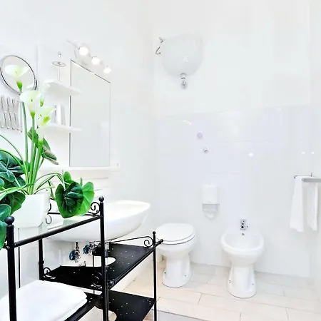 Lucky Domus Guest house