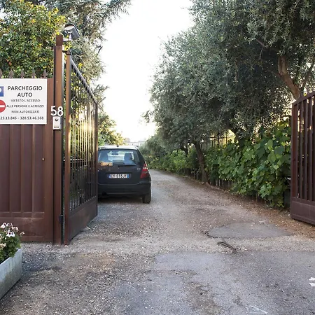 Bed & Breakfast Domus Casaletto