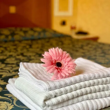 Hotel Vatican Amorim Rome