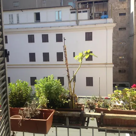 Hotel Toffa Place In