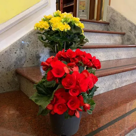 Stromboli Hotel
