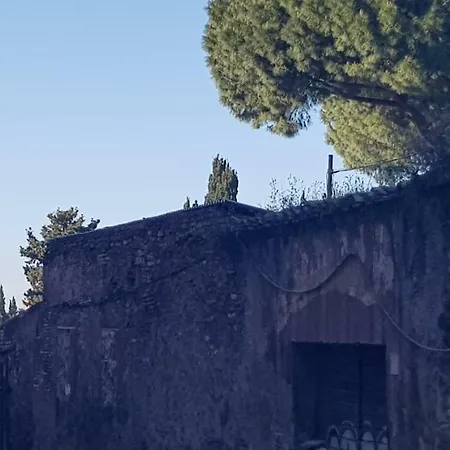 Πανσιόν Mia Ρώμη