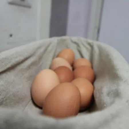 Frühstückspension Star Of 2*