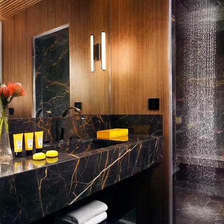فندق ذا فيرست دولسى 5*