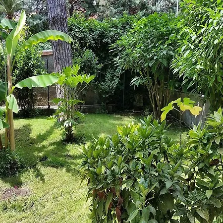 Il Giardino Di Giulia 2 3* Roma