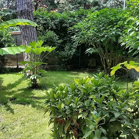 Hotel Il Giardino Di Giulia 2