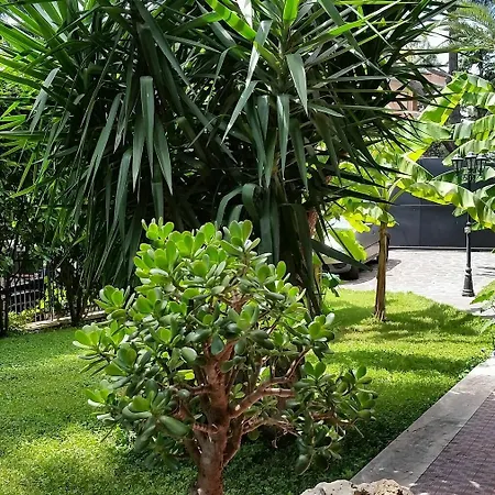 Hotel Il Giardino Di Giulia 2